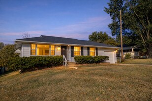 1009 Bliss Dr in St. Louis, MO - Building Photo