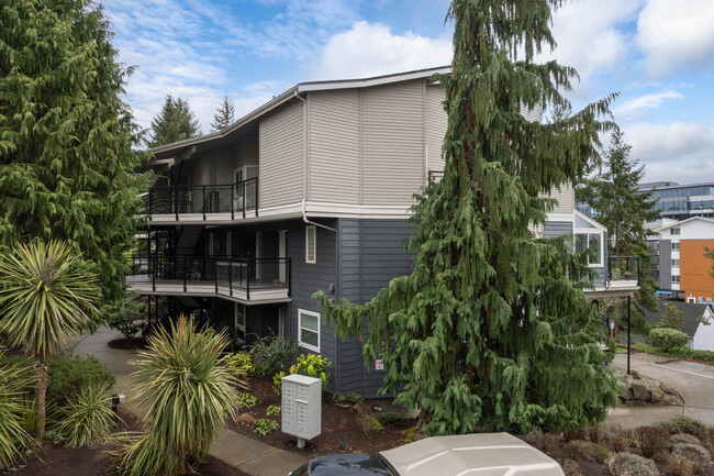 Galleria Condominiums in Kirkland, WA - Building Photo - Building Photo