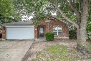13301 Prairie Sage Cove in Manor, TX - Building Photo