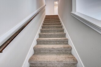 3303 Owl Hollow Dr in Rosenberg, TX - Building Photo - Building Photo