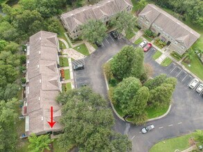4347 Deermont Cir in Tampa, FL - Building Photo - Building Photo
