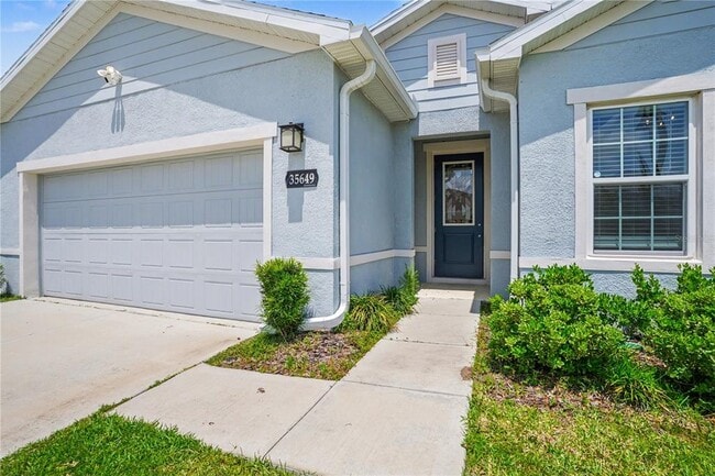 35649 Osprey Perch Ln in Zephyrhills, FL - Building Photo - Building Photo