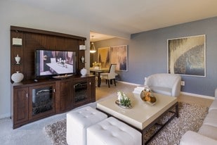 Lerner Springfield Square