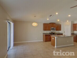 10034 Carloway Hills Dr in Wimauma, FL - Building Photo - Building Photo