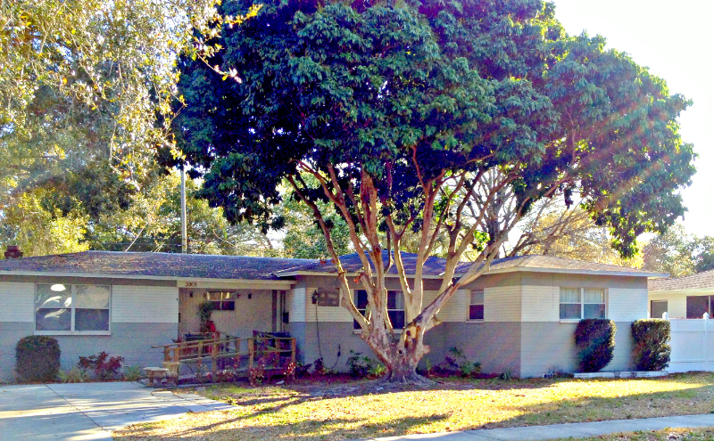 3901 Iris St N in St. Petersburg, FL - Building Photo