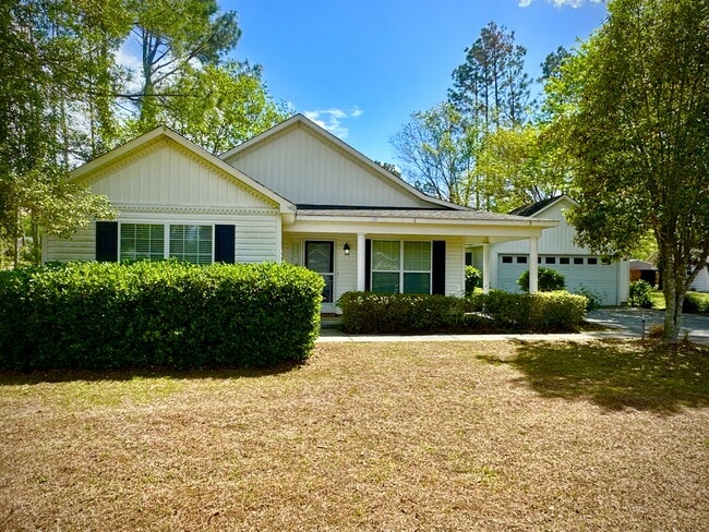 46 Live Oak Trail in Lakeland, GA - Building Photo - Building Photo