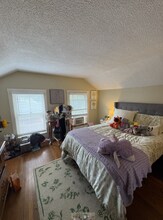 11 Eames Pl in Amherst, MA - Building Photo - Building Photo