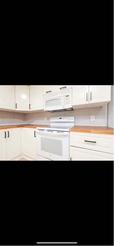 225 Willow Lake Ln in Sharpsburg, GA - Foto de edificio - Building Photo