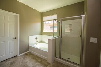 12159 N Golden Mirror Dr in Marana, AZ - Building Photo - Building Photo