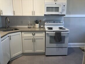 315 S Delaware Ave in Tampa, FL - Foto de edificio - Building Photo