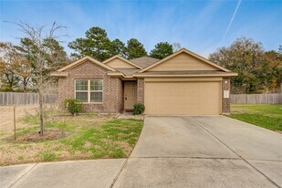23910 Paper Birch Ct in Tomball, TX - Building Photo