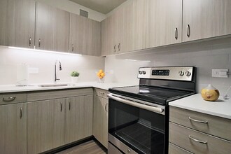 1090 N Dearborn St in Chicago, IL - Building Photo - Building Photo