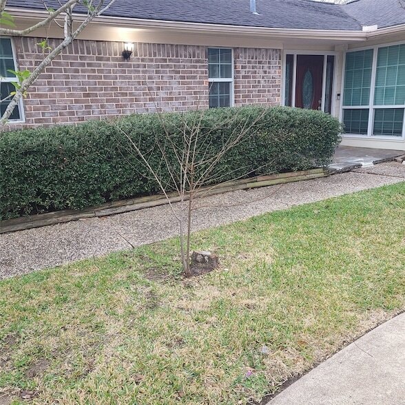 1006 Walnut Bend Ln in Houston, TX - Foto de edificio - Building Photo