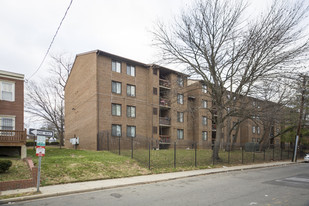 Ivy City Apartments