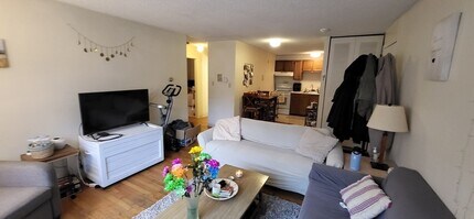239 Kelton St in Boston, MA - Building Photo - Building Photo