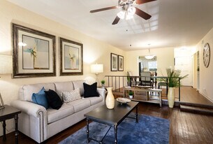 The Legacy Apartments in Tampa, FL - Building Photo