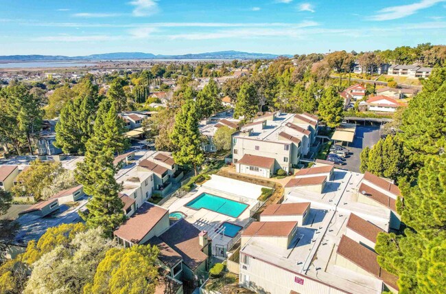 1333 N Camino Alto in Vallejo, CA - Foto de edificio - Building Photo