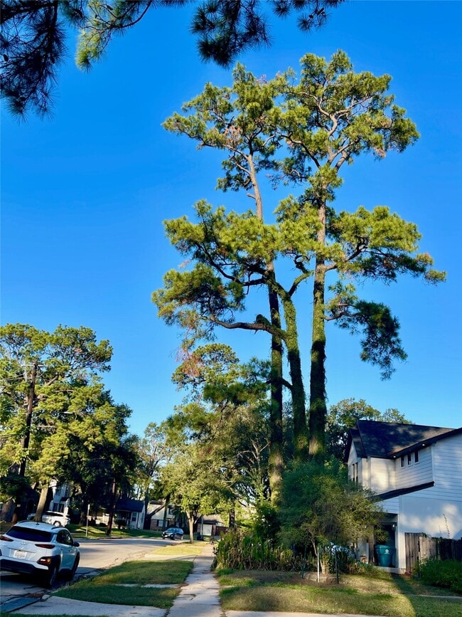 property at 6674 Sylvan Rd