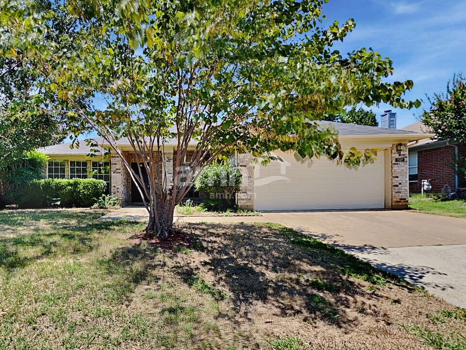 737 Oak Dale Ave in Lake Dallas, TX - Building Photo