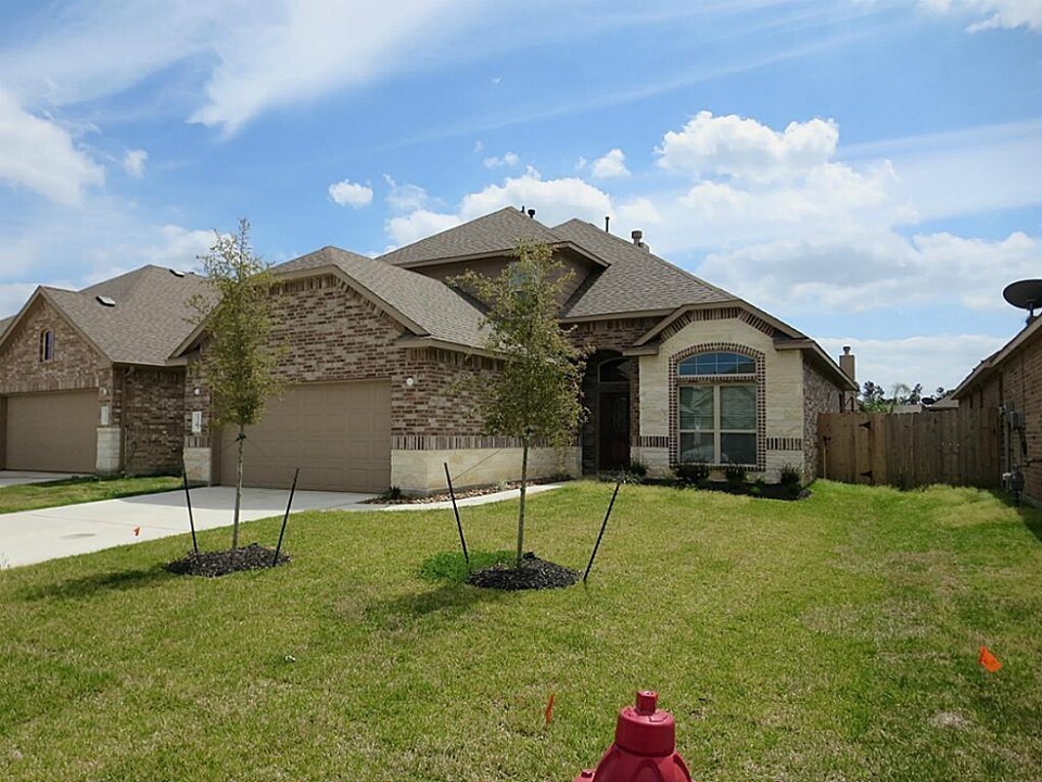 19226 Silver Dapple in Porter, TX - Building Photo