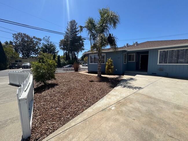 property at 2219 Juan Pablo Ln