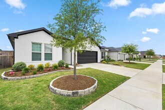28920 Autumn Shr Dr in Fulshear, TX - Building Photo - Building Photo