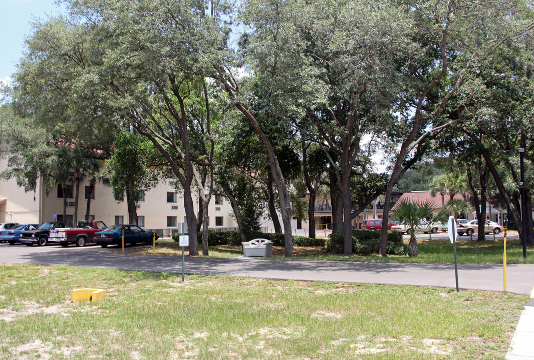 Acorn Trace Apartments in Tampa, FL - Building Photo