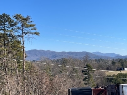 346 Sheppard Branch Rd in Weaverville, NC - Building Photo - Building Photo