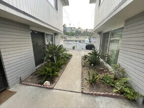 3782 Dove St in San Diego, CA - Building Photo - Building Photo