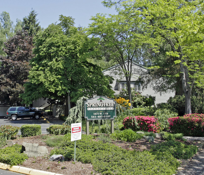 Springtree Apartments in Eugene, OR - Building Photo - Building Photo