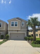 14162 Damselfly Dr in Tampa, FL - Building Photo