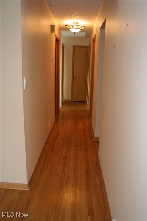property at 300 Calvin Dr