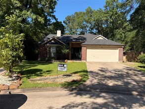 2 Grey Birch Pl in Spring, TX - Building Photo - Building Photo