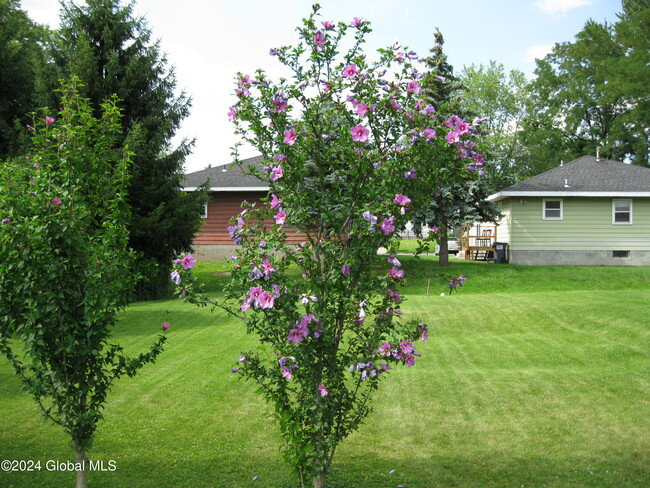 44 Fairfield Ave in Albany, NY - Building Photo - Building Photo