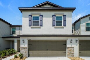 2173 Cerulean Sky Dr in Lutz, FL - Building Photo