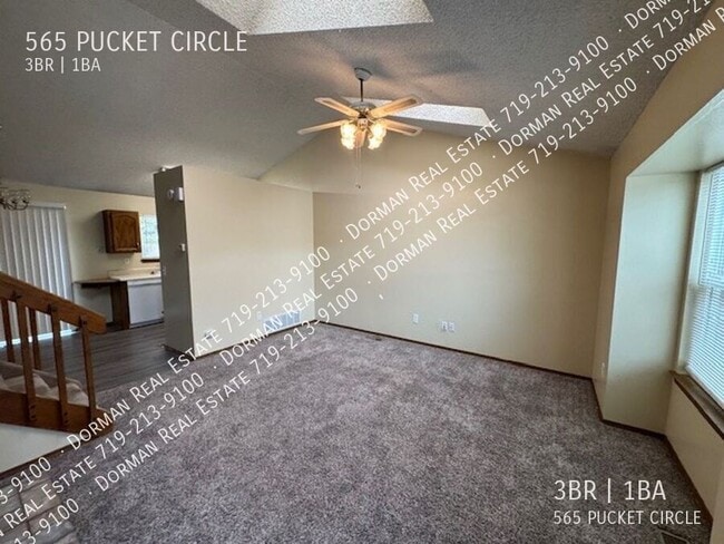 565 Pucket Cir in Colorado Springs, CO - Foto de edificio - Building Photo