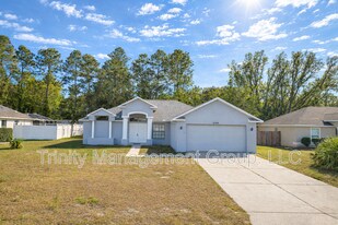 10348 Belltower St in Spring Hill, FL - Building Photo
