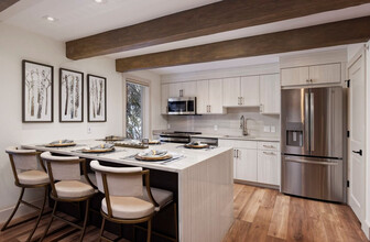 1034 E Cooper Ave in Aspen, CO - Building Photo - Building Photo