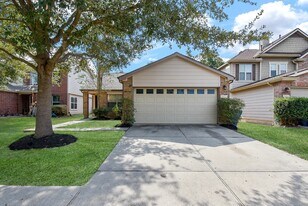 29223 Legends Bluff Dr in Spring, TX - Building Photo
