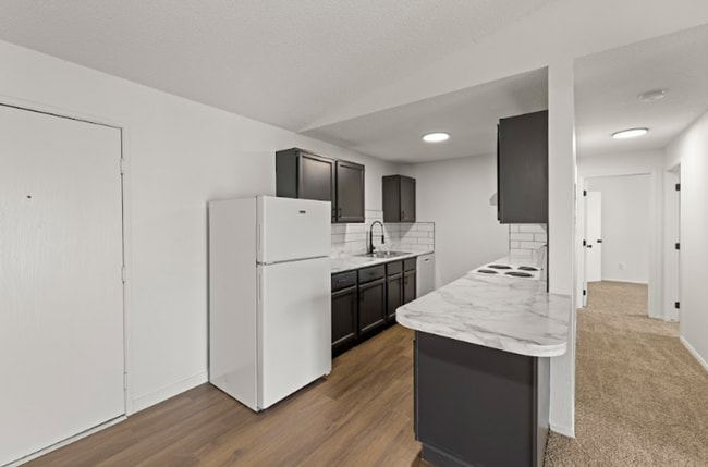 221 E McKinley Ave in Des Moines, IA - Building Photo - Building Photo