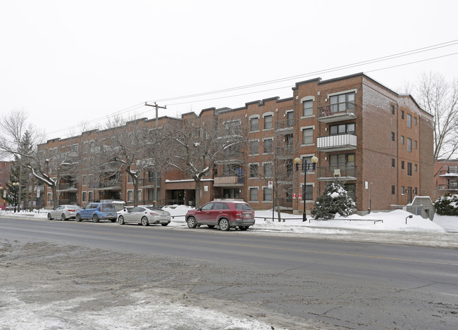 3663 E Rachel E in Montréal, QC - Building Photo - Primary Photo