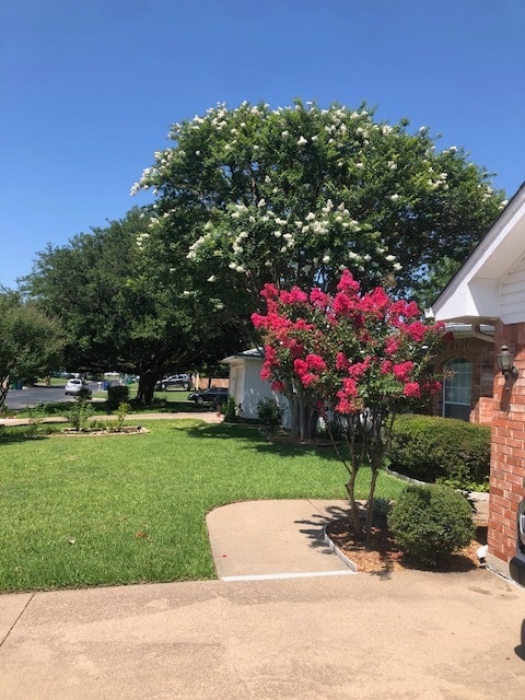 303 Myrtle Ave in Waxahachie, TX - Building Photo - Building Photo