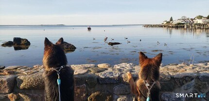 117 Water St in Stonington, CT - Building Photo - Building Photo