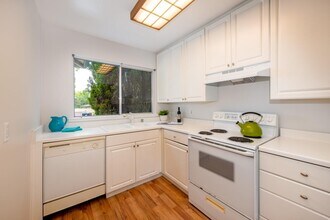 7130 Rainbow Dr in San Jose, CA - Building Photo - Building Photo