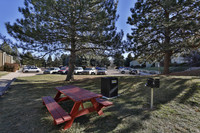 Brookview Apartments in Fort Collins, CO - Foto de edificio - Building Photo