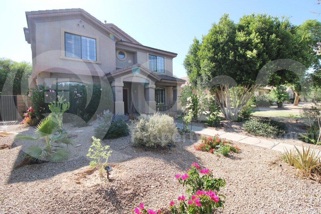 3538 S Cupertino Dr in Gilbert, AZ - Building Photo