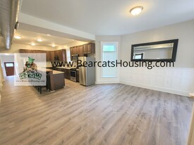 93 Chestnut St in Binghamton, NY - Building Photo