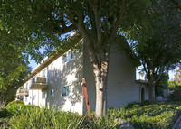 Golden Oak Apartments in Campbell, CA - Foto de edificio - Building Photo