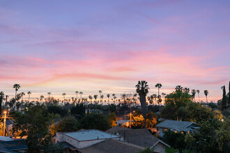 2512 Berkeley Ave in Los Angeles, CA - Building Photo - Building Photo