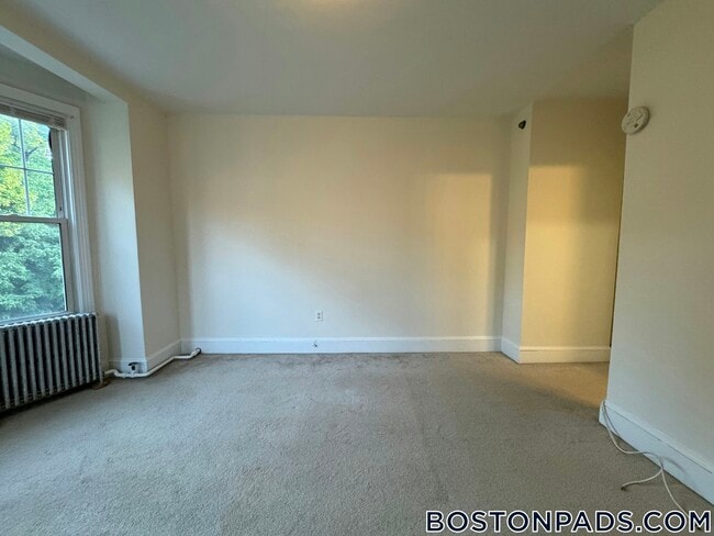 1223 Beacon St, Unit 308 in Brookline, MA - Building Photo - Building Photo